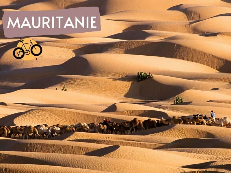 Rando chameliere dunes de Amatlich | Aventure Mauritanie - Point-Afrique Voyages