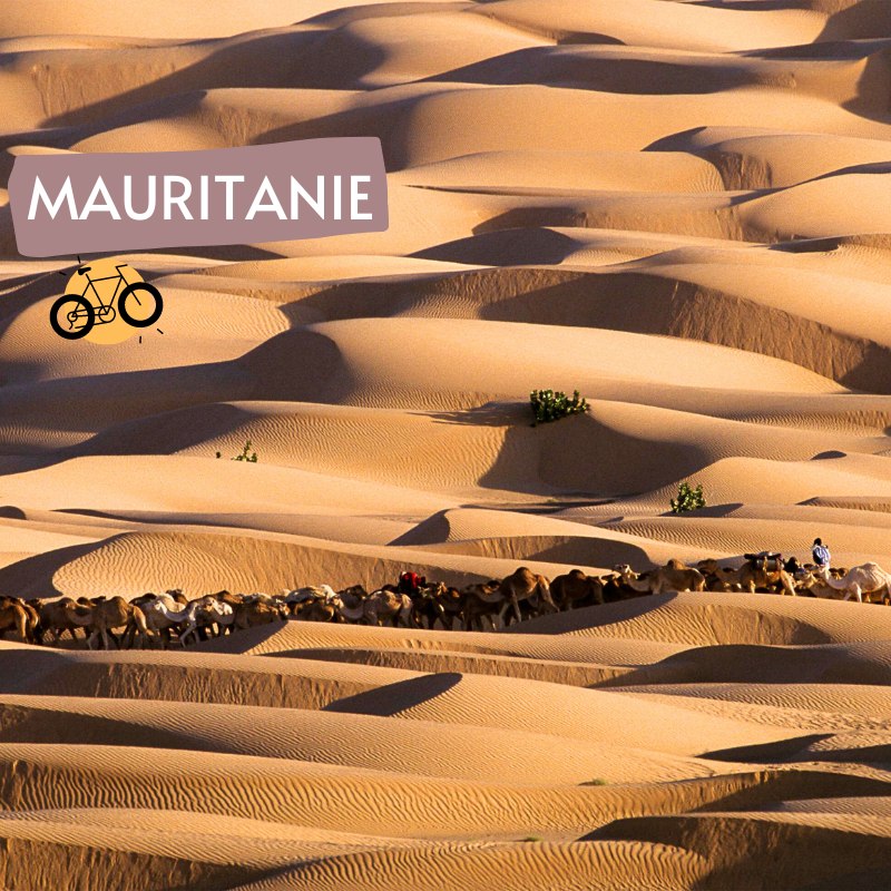 Rando chameliere dunes de Amatlich | Aventure Mauritanie - Point-Afrique Voyages