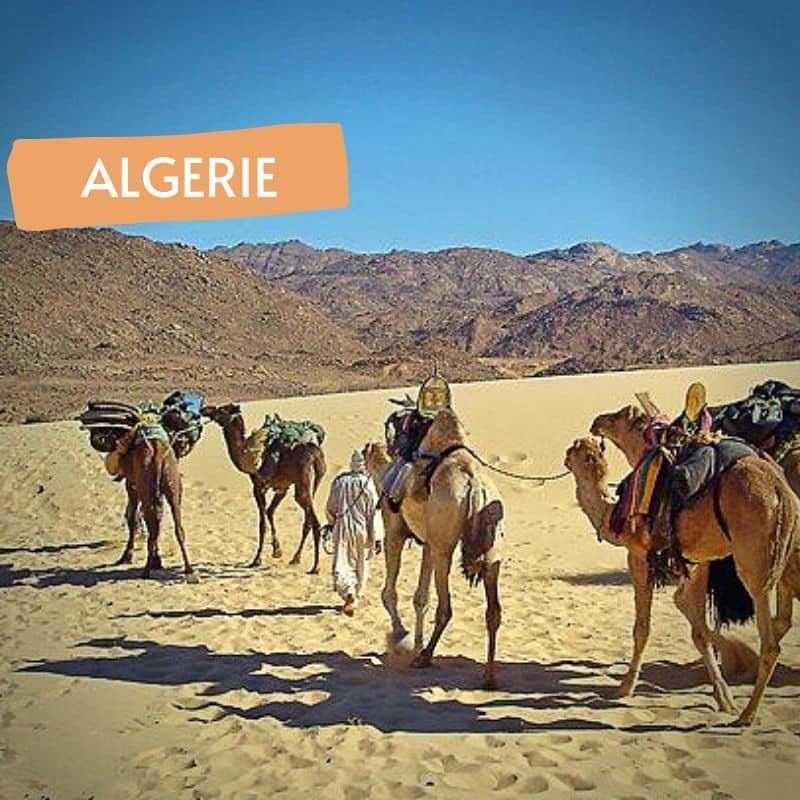 Algérie: du Hoggar à la Tefedest
