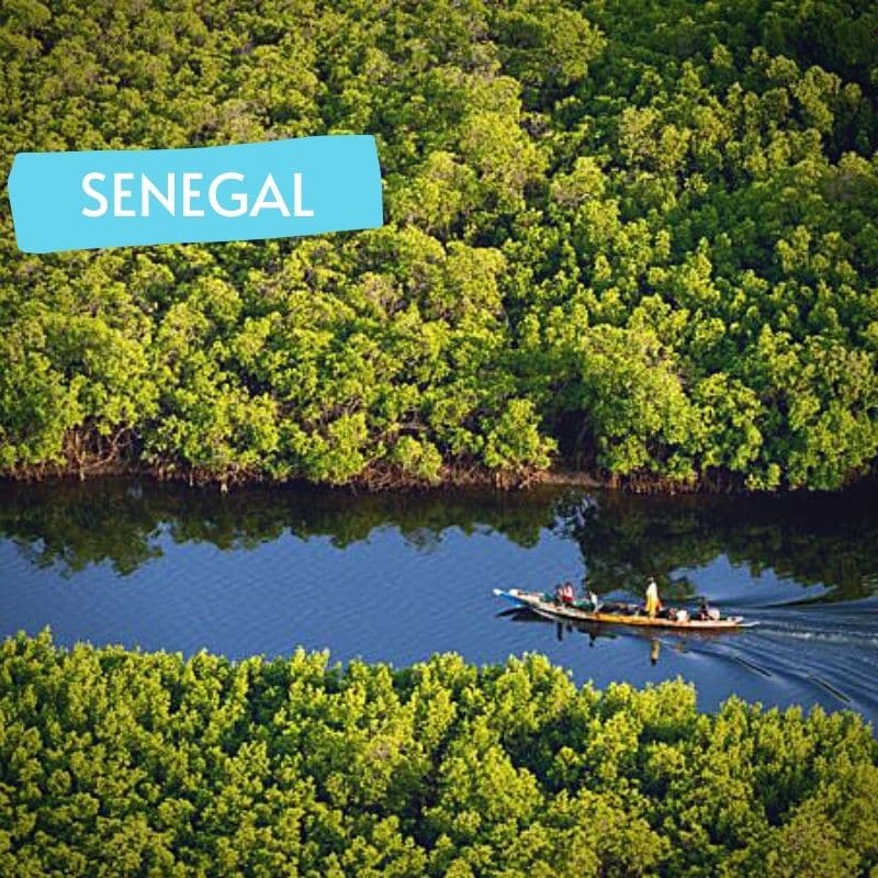 Sine Saloum Senegal-Circuit rando-pirogue dans les bolongs | Point-Afrique